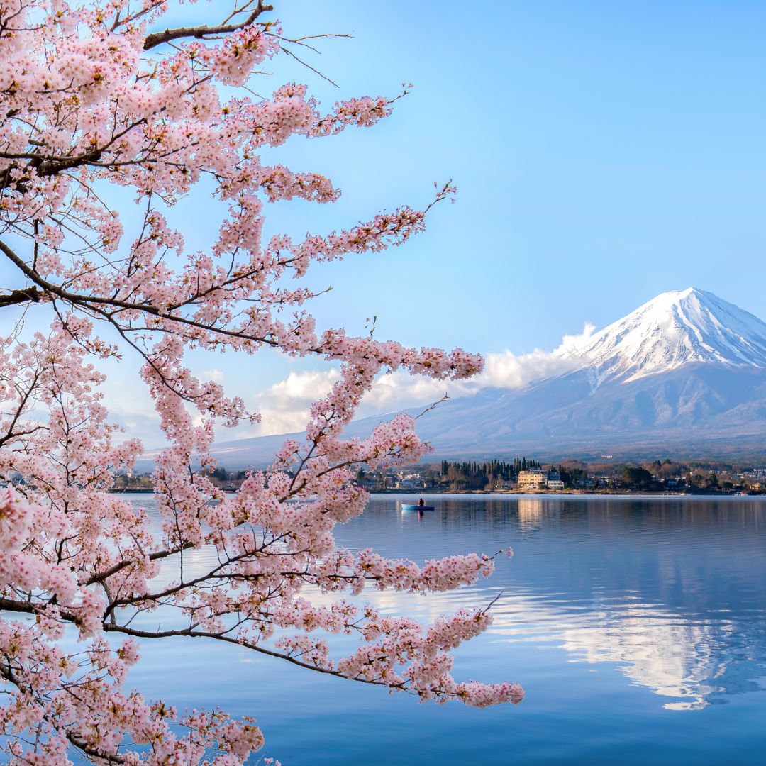 Japonia