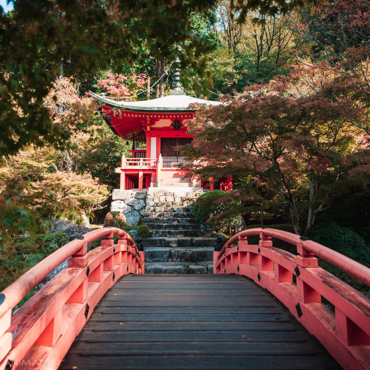 Japonia