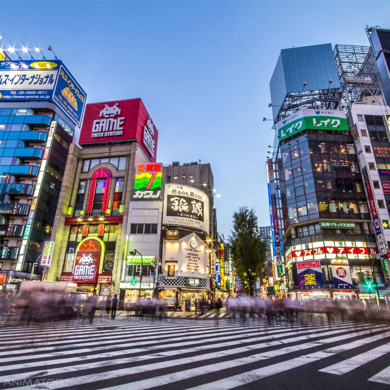 Japonia